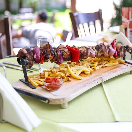 Therma Vitae - профилакториум 4* Ognyanovo (Blagoevgrad)