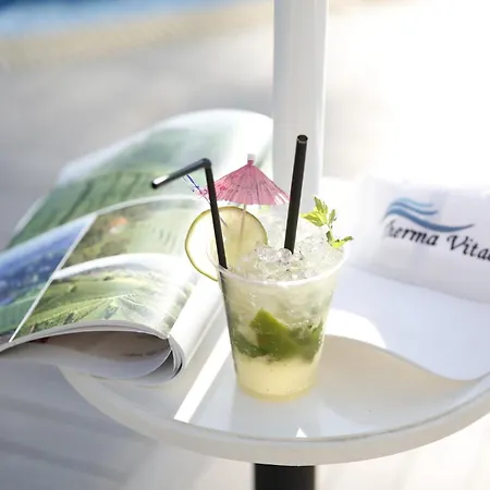 Therma Vitae - профилакториум 4* Ognyanovo (Blagoevgrad)