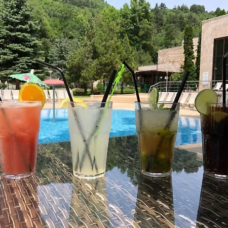 Therma Vitae - профилакториум Ξενοδοχείο Ognyanovo (Blagoevgrad)