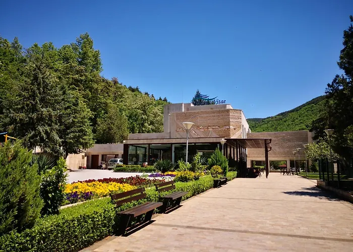 Hotel Therma Vitae - профилакториум 4*