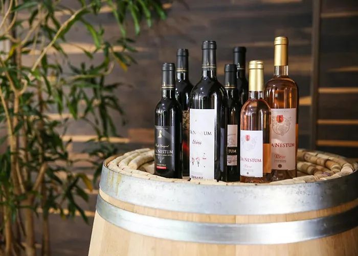 Therma Vitae - профилакториум